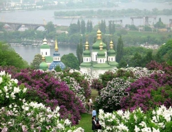 Моє рідне місто