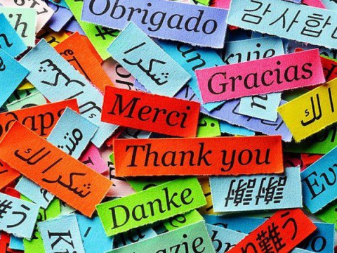 Міжнародний день Дякую