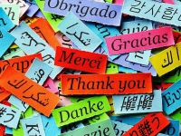 Міжнародний день Дякую